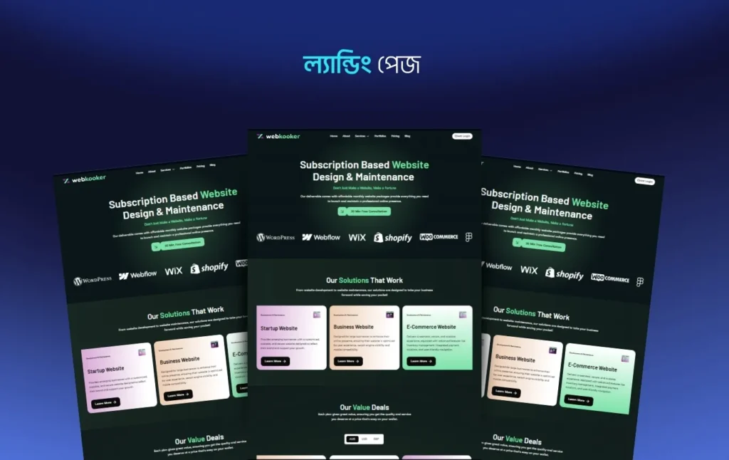 ল্যান্ডিং পেজ কি?